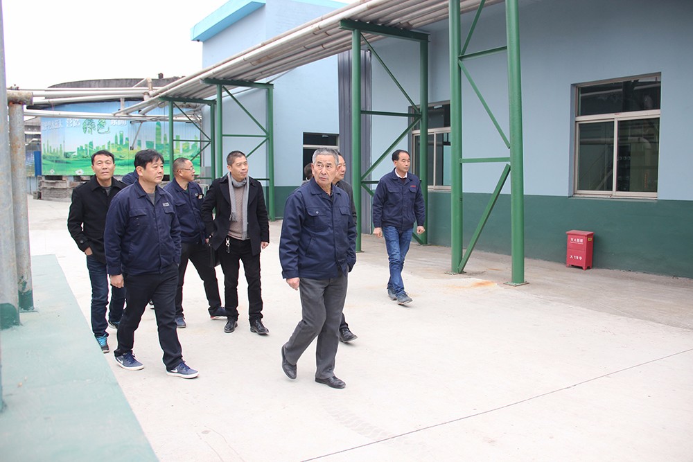 1514171656679742.jpg 与会人员走在华联纸业厂区.JPG