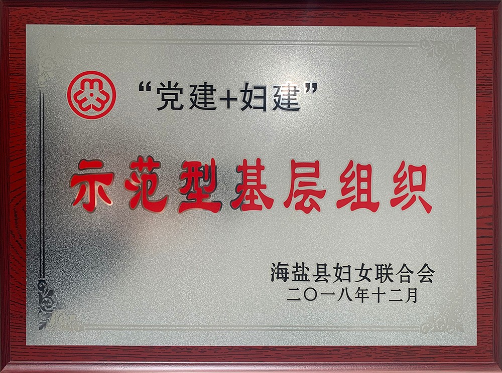 201903集团-海盐县“党建+妇建”示范型基层组织.jpg
