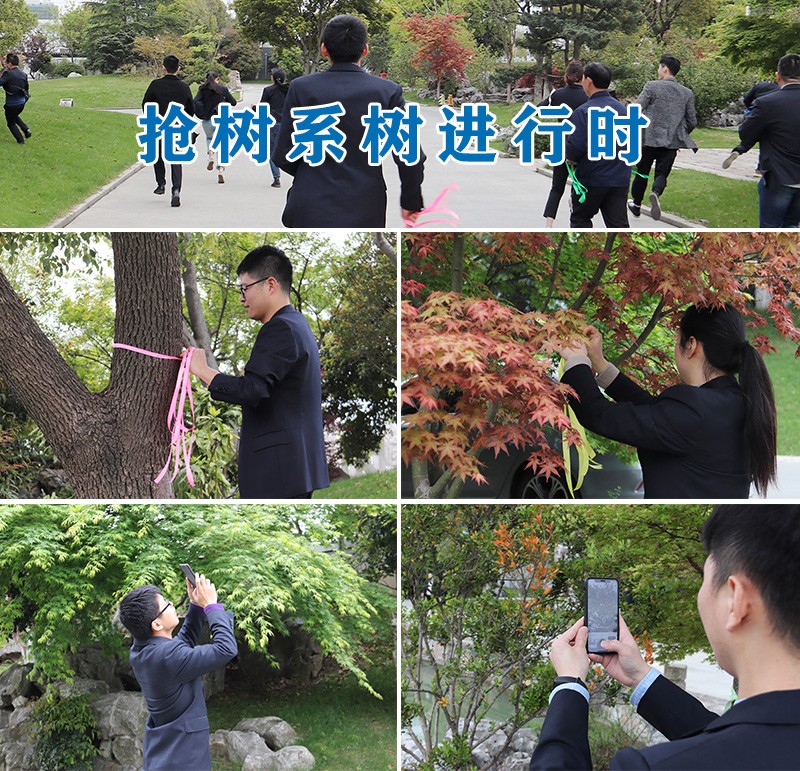 04抢树系树进行时.jpg