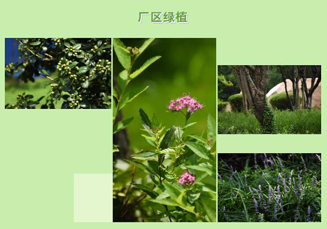 1594256387172686.jpg 微信截图_20200709083102.jpg